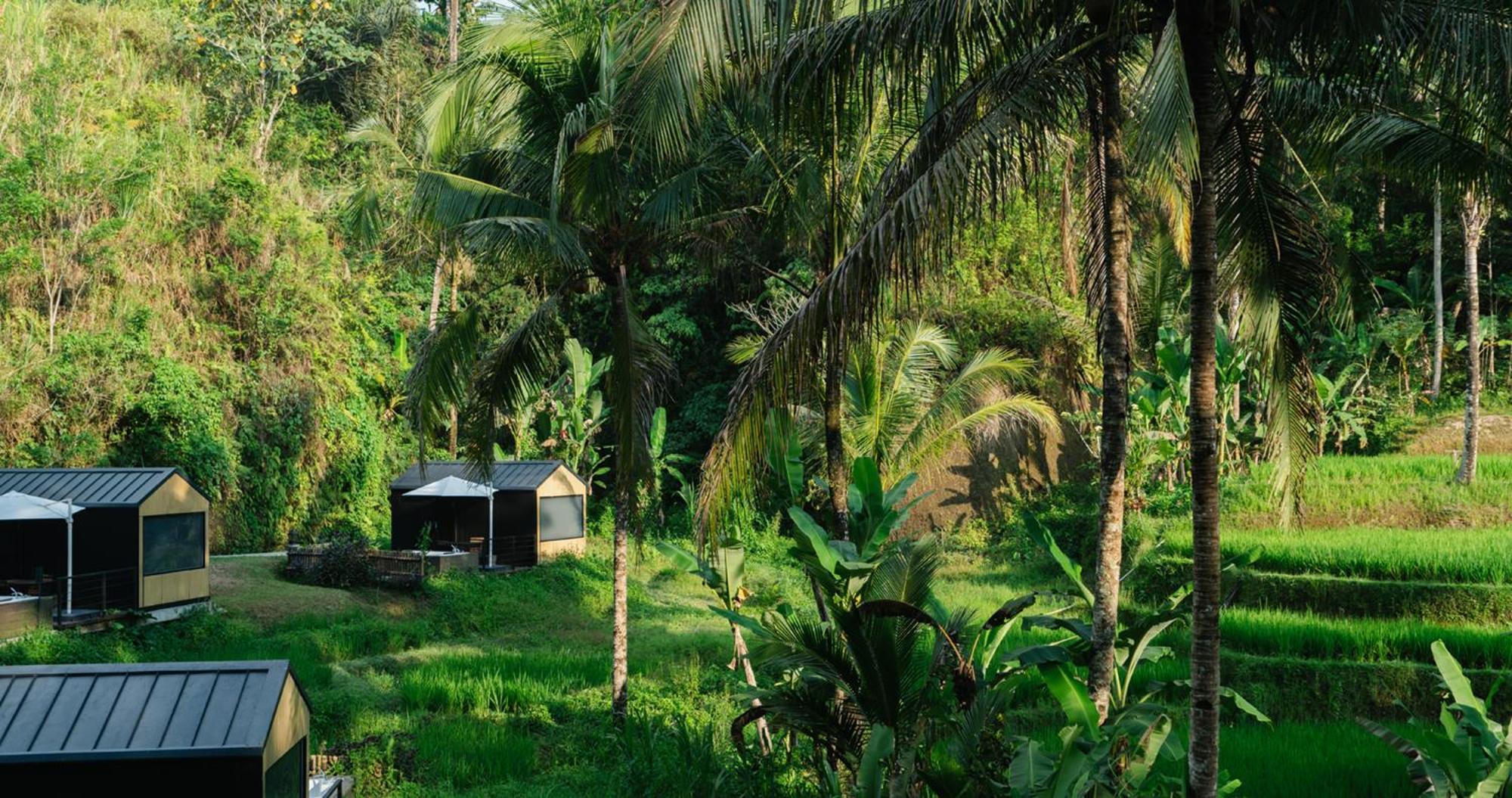 Bobocabin Ubud, Bali Buitenkant foto